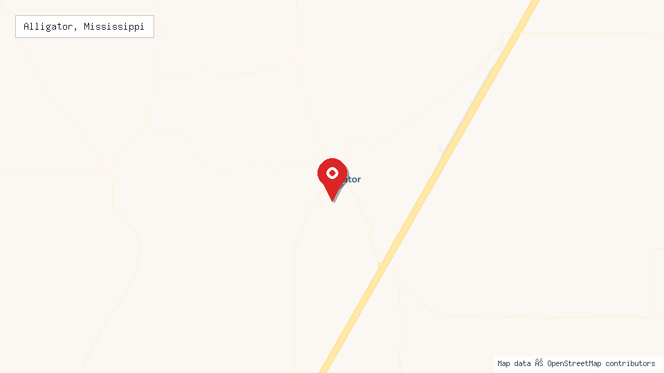 Street map of Alligator, Mississippi with location pin