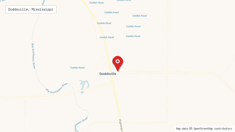 Street map of Doddsville, Mississippi with location pin