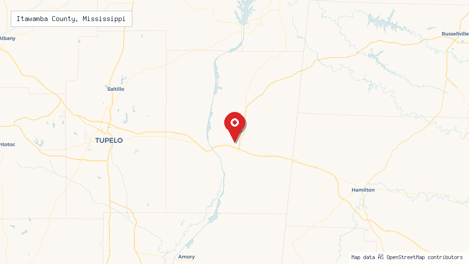 Street map of Itawamba County, Mississippi with location pin