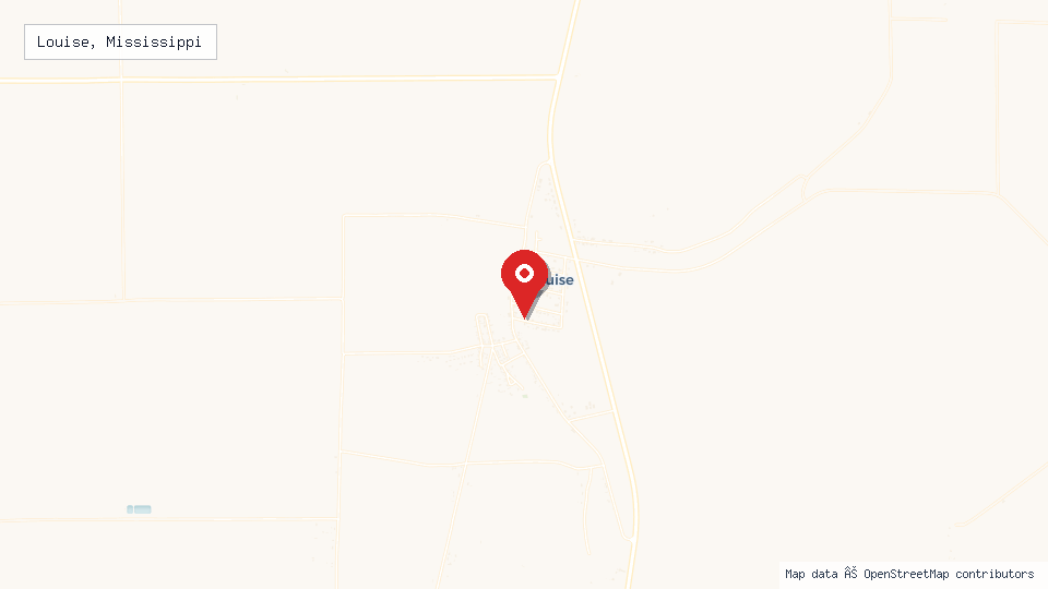 Street map of Louise, Mississippi with location pin