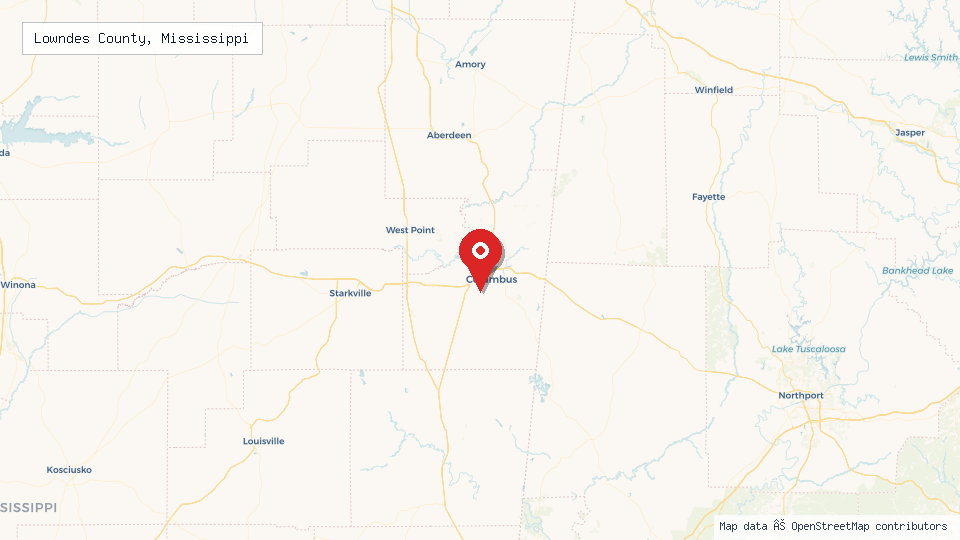Street map of Lowndes County, Mississippi with location pin