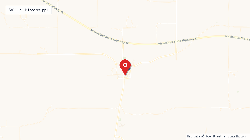 Street map of Sallis, Mississippi with location pin