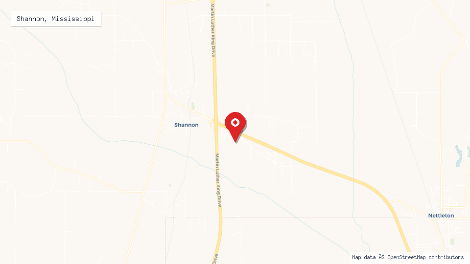 Street map of Shannon, Mississippi with location pin