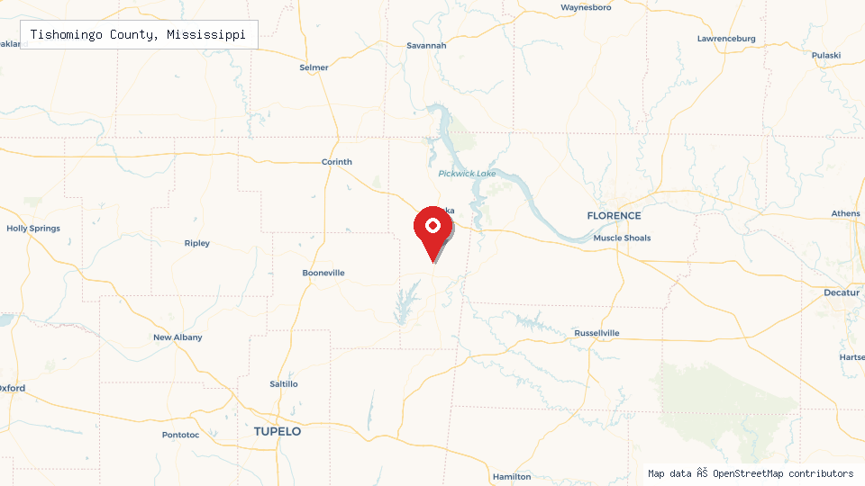Street map of Tishomingo County, Mississippi with location pin