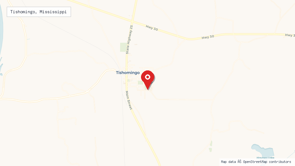 Street map of Tishomingo, Mississippi with location pin