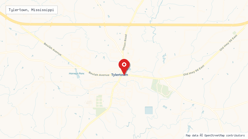 Street map of Tylertown, Mississippi with location pin