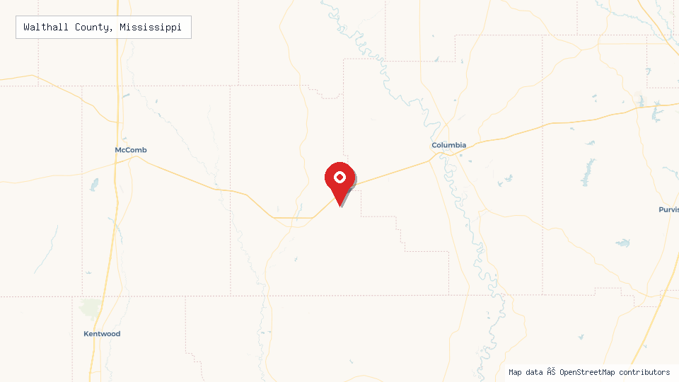 Street map of Walthall County, Mississippi with location pin