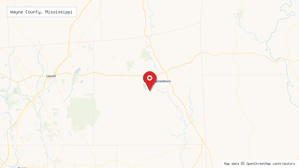 Street map of Wayne County, Mississippi with location pin