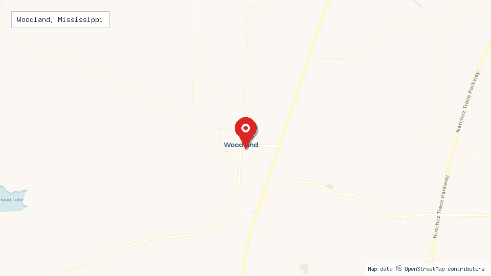 Street map of Woodland, Mississippi with location pin