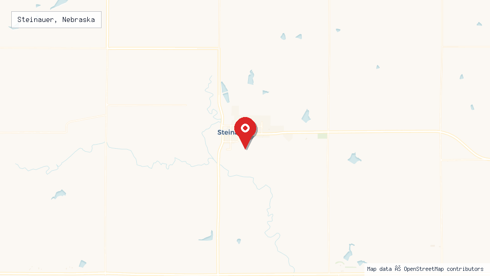 Street map of Steinauer, Nebraska with location pin