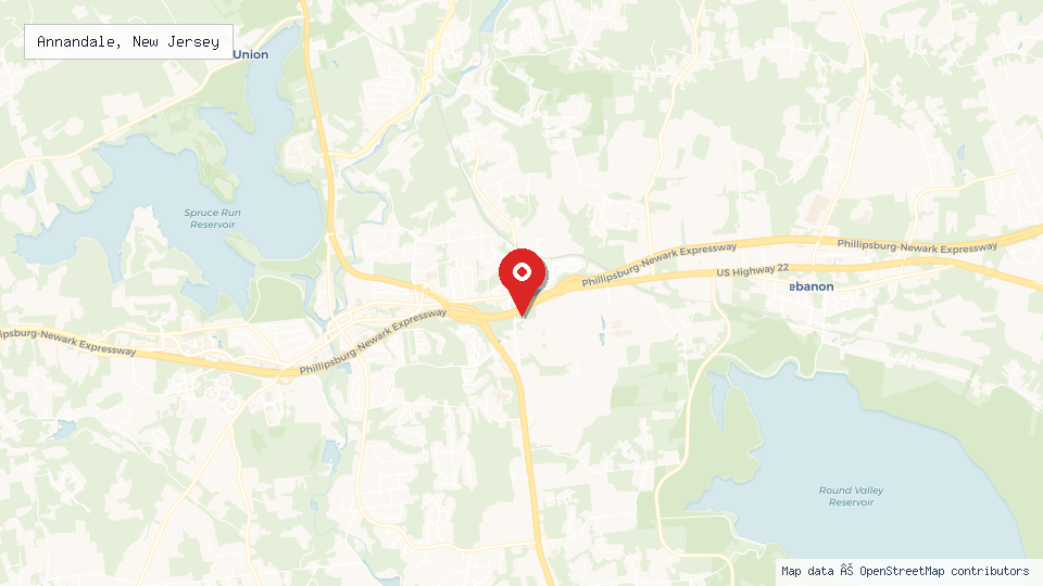 Street map of Annandale, New Jersey with location pin