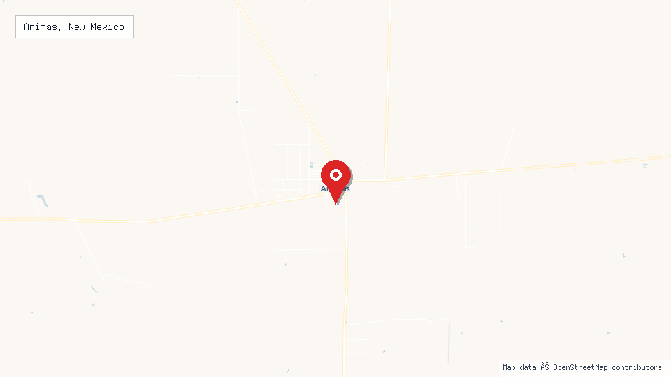 Street map of Animas, New Mexico with location pin