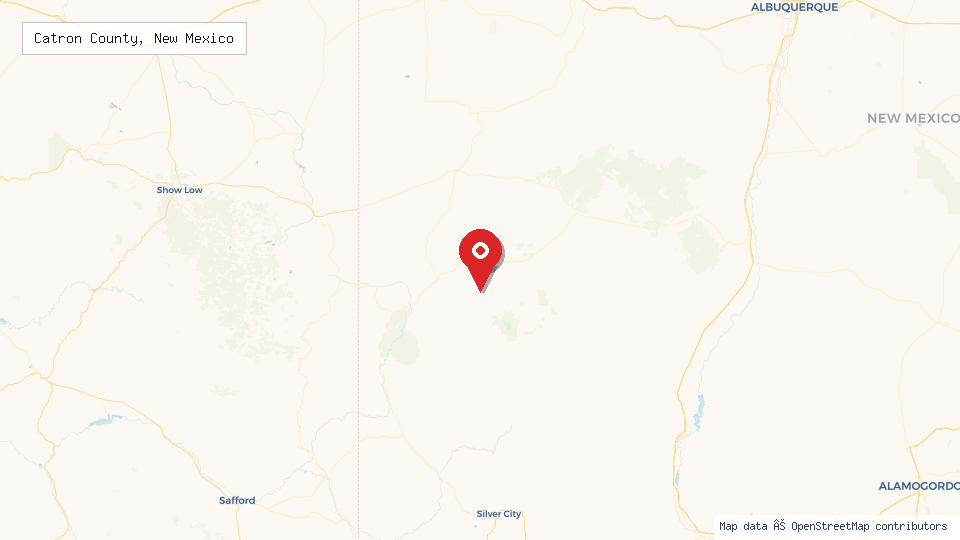 Street map of Catron County, New Mexico with location pin