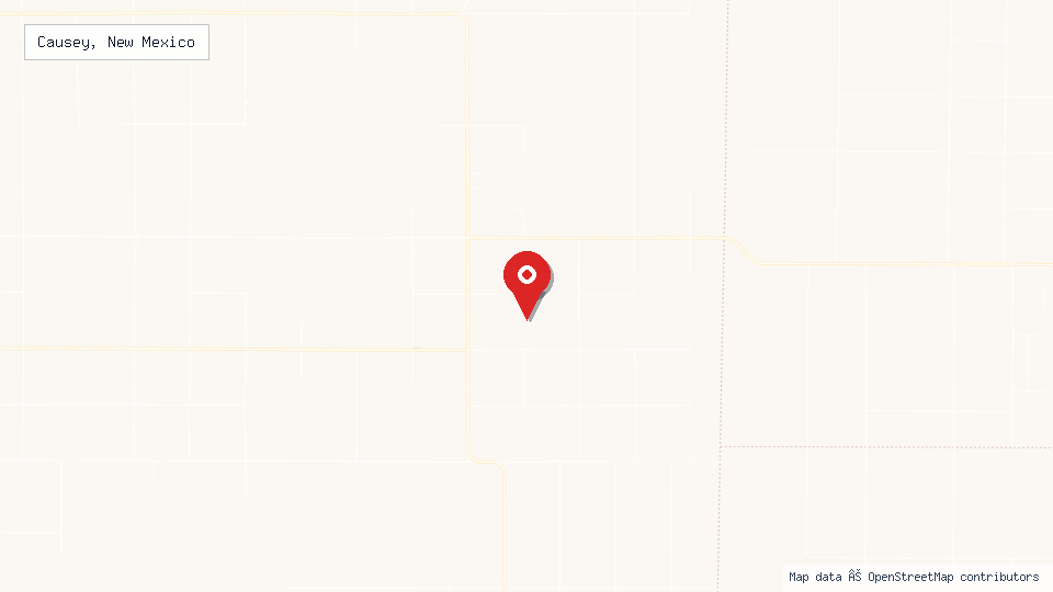Street map of Causey, New Mexico with location pin