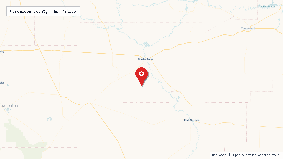 Street map of Guadalupe County, New Mexico with location pin