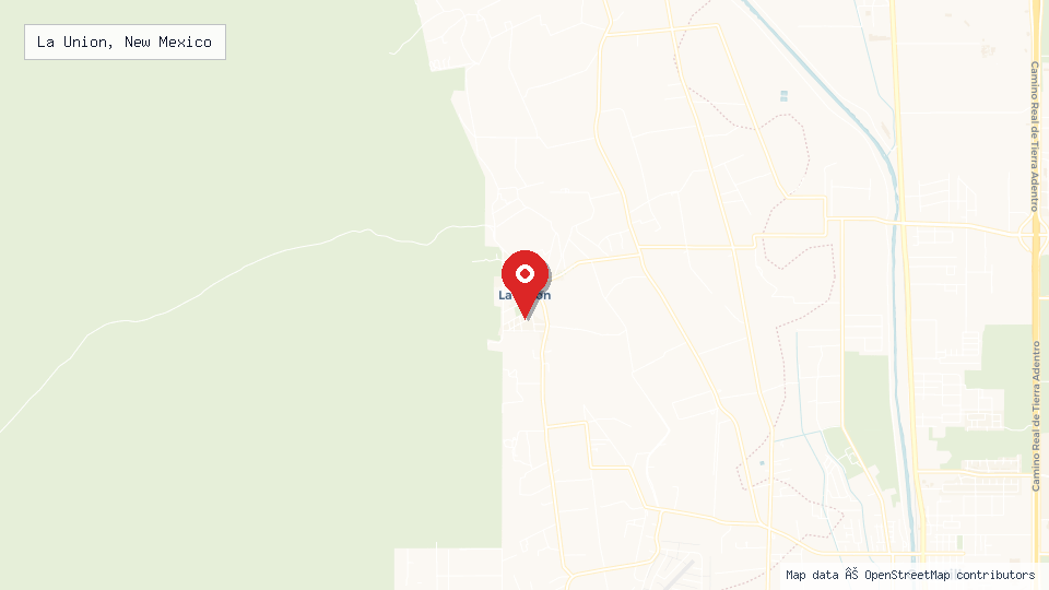 Street map of La Union, New Mexico with location pin