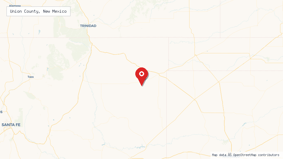 Street map of Union County, New Mexico with location pin