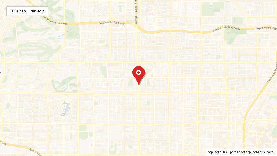 Street map of Buffalo, Nevada with location pin