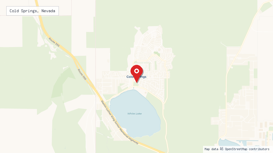 Street map of Cold Springs, Nevada with location pin
