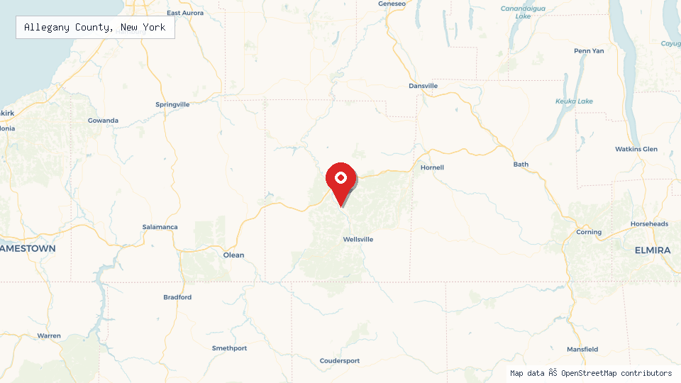 Street map of Allegany County, New York with location pin