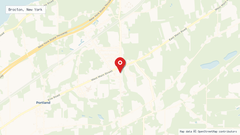 Street map of Brocton, New York with location pin
