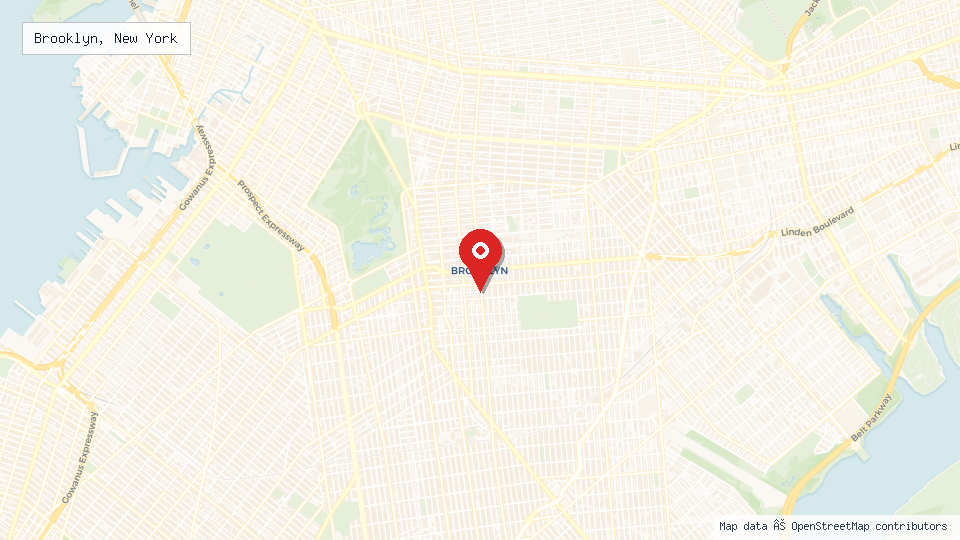 Street map of Brooklyn, New York with location pin