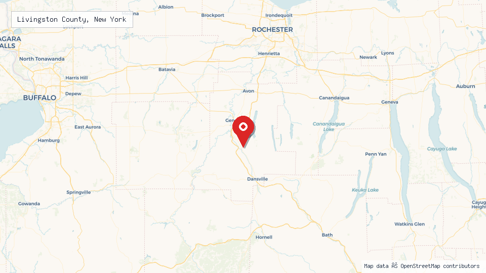 Street map of Livingston County, New York with location pin