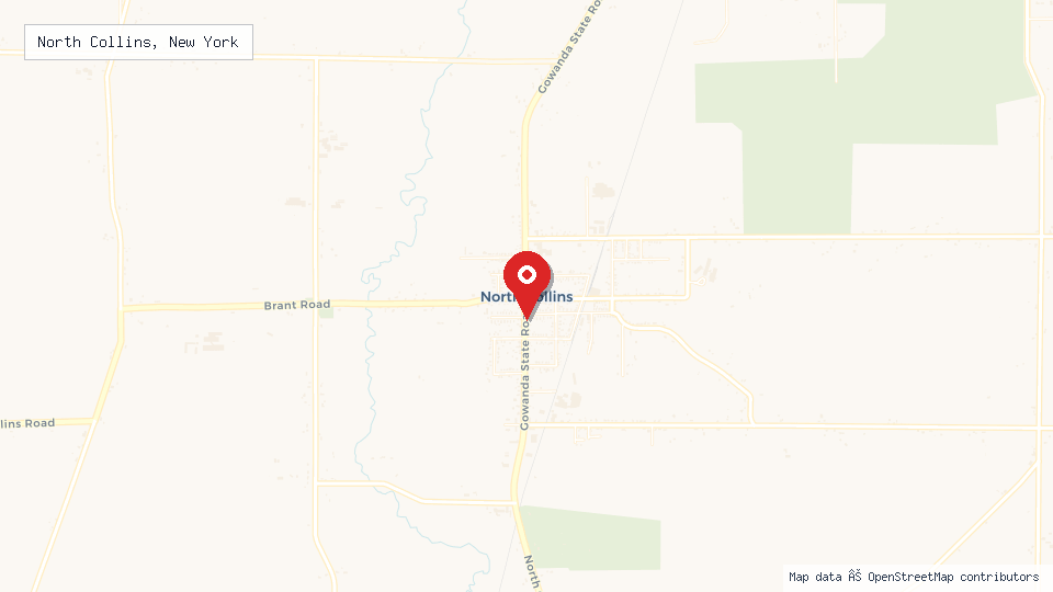 Street map of North Collins, New York with location pin