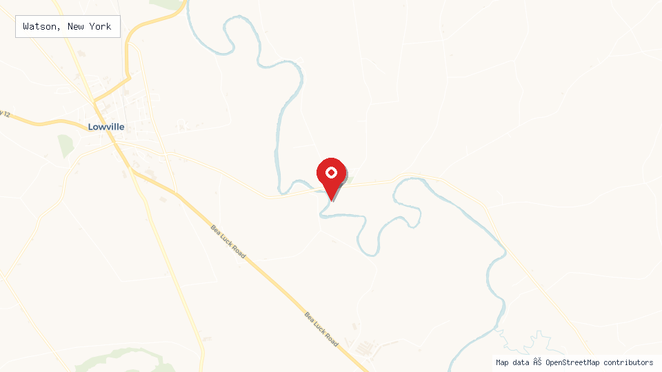 Street map of Watson, New York with location pin