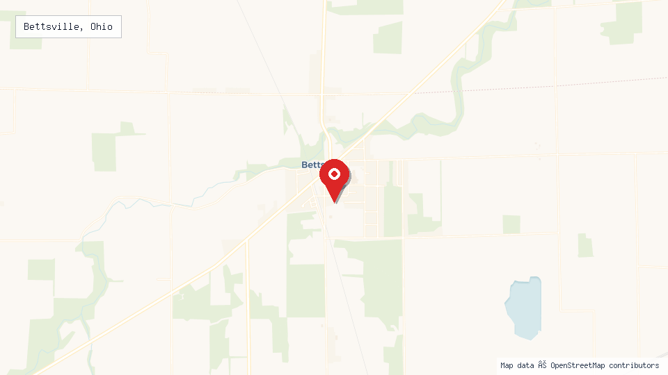 Street map of Bettsville, Ohio with location pin