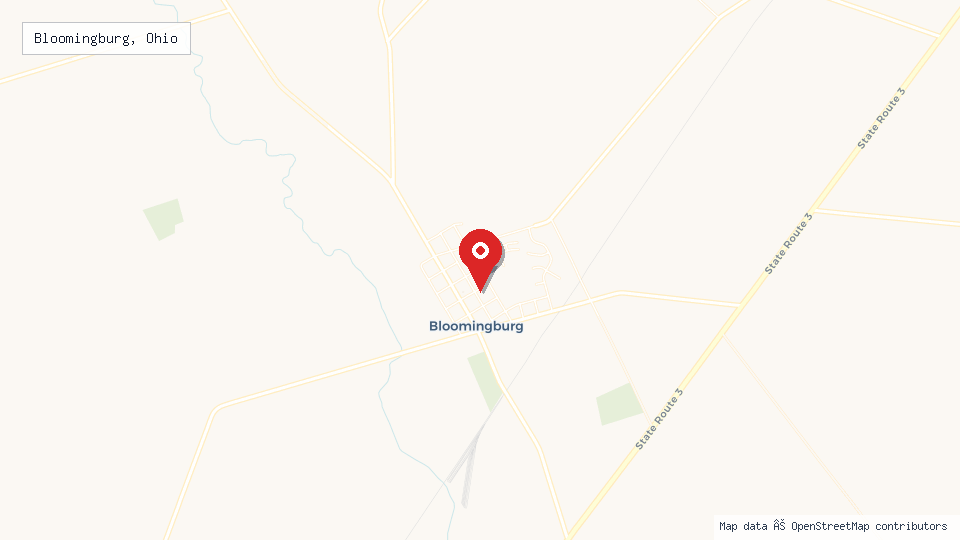 Street map of Bloomingburg, Ohio with location pin