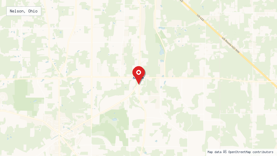 Street map of Nelson, Ohio with location pin