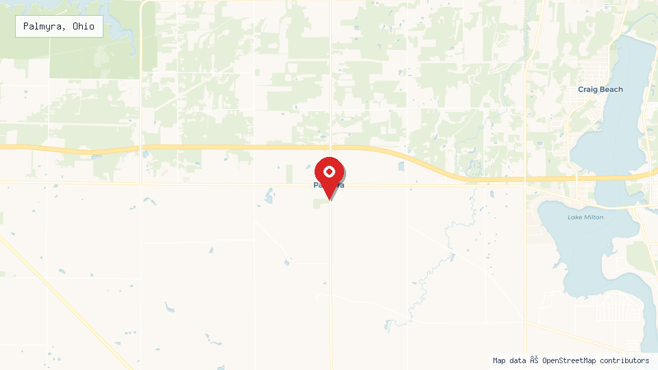 Street map of Palmyra, Ohio with location pin