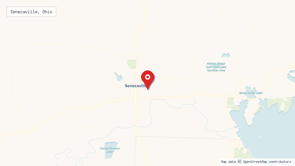 Street map of Senecaville, Ohio with location pin