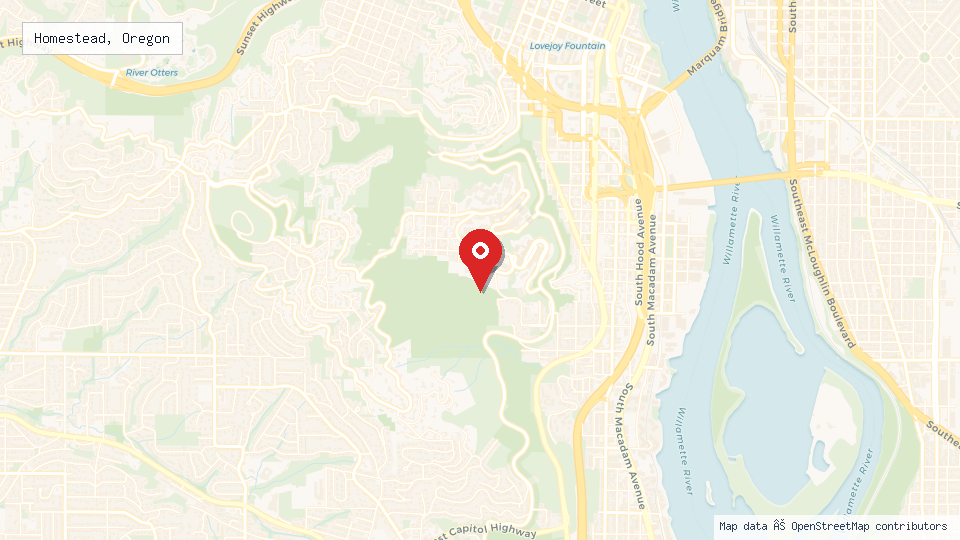 Street map of Homestead, Oregon with location pin