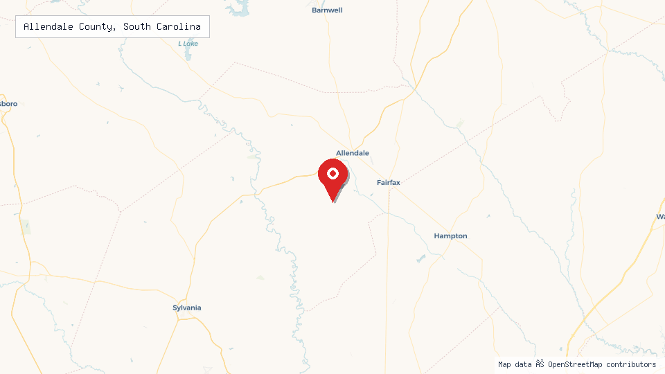 Street map of Allendale County, South Carolina with location pin