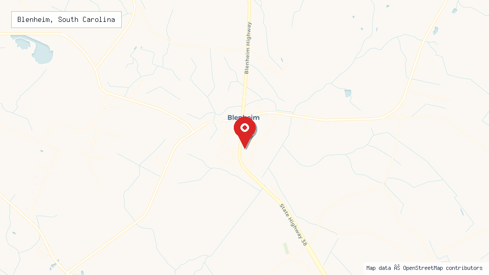 Street map of Blenheim, South Carolina with location pin
