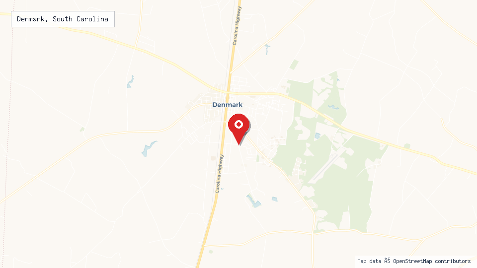 Street map of Denmark, South Carolina with location pin