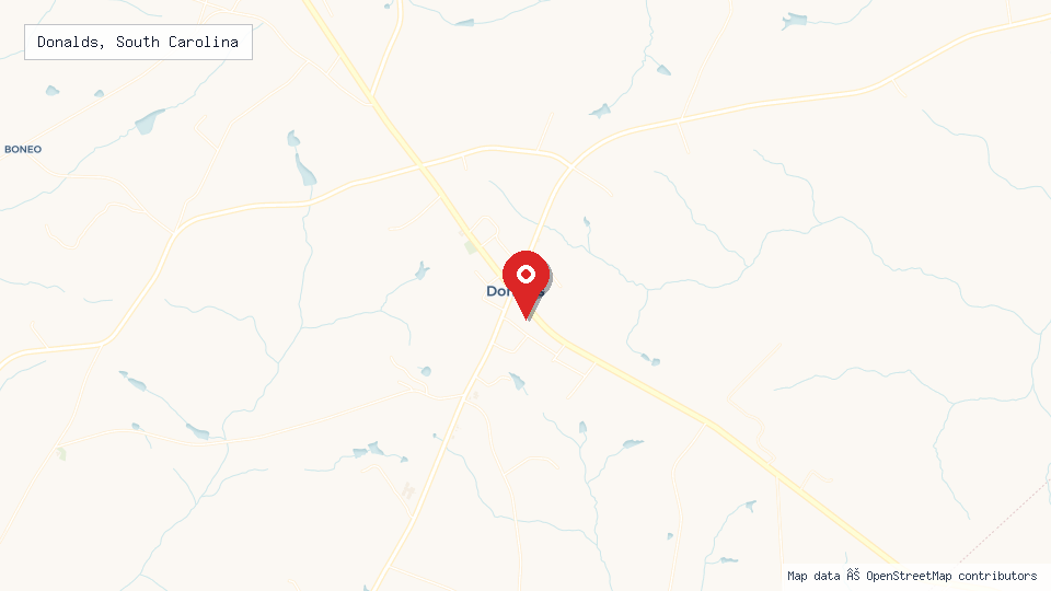 Street map of Donalds, South Carolina with location pin