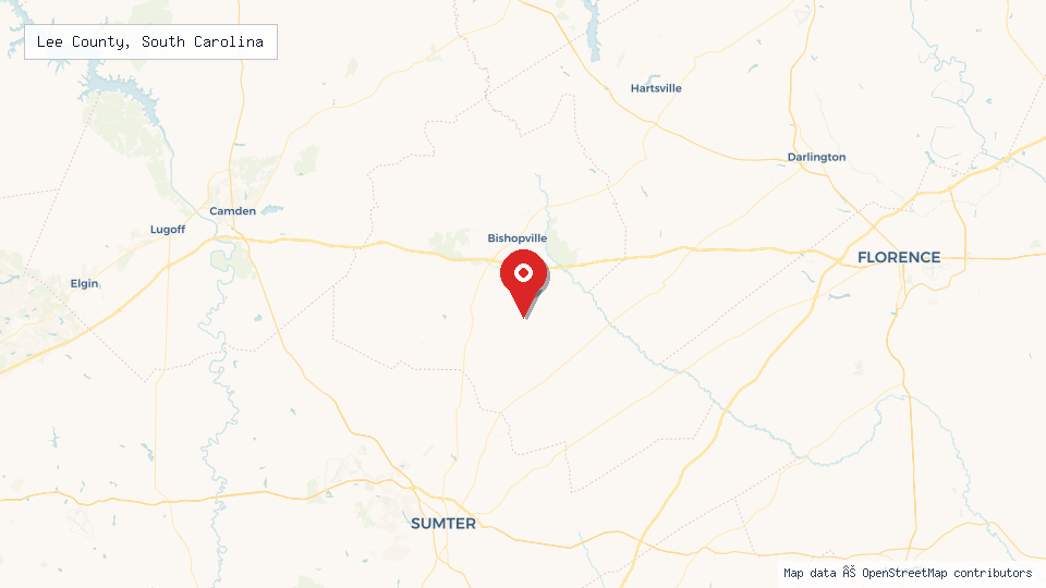 Street map of Lee County, South Carolina with location pin