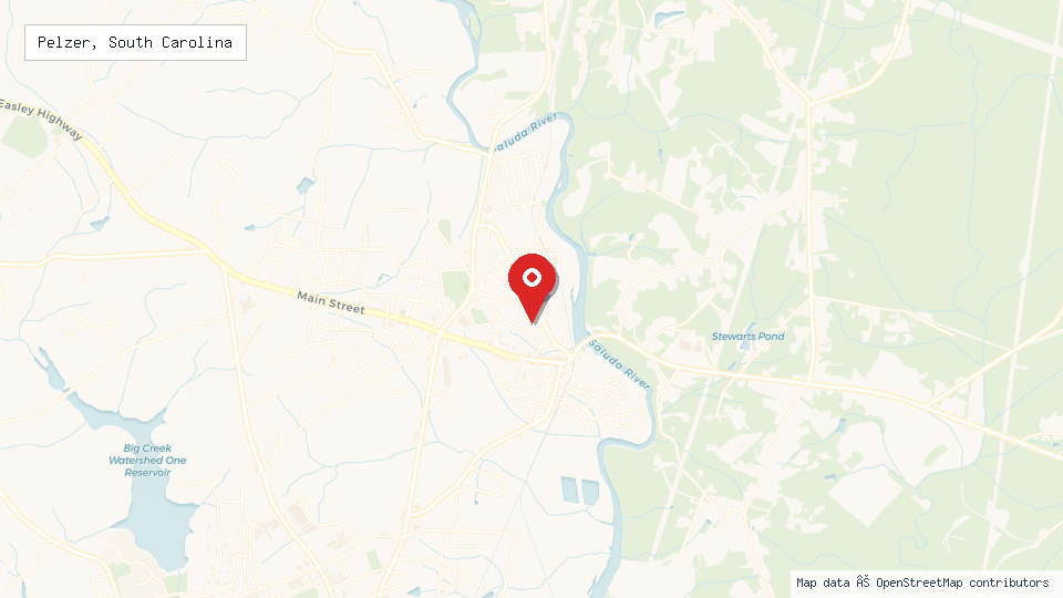 Street map of Pelzer, South Carolina with location pin
