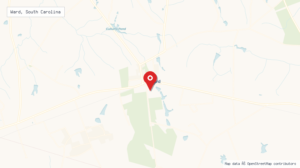Street map of Ward, South Carolina with location pin