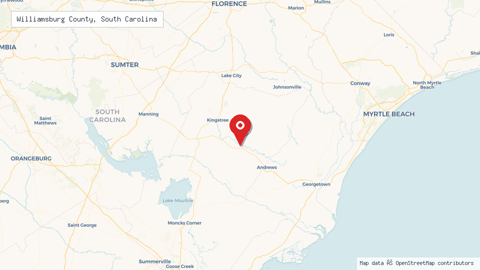 Street map of Williamsburg County, South Carolina with location pin
