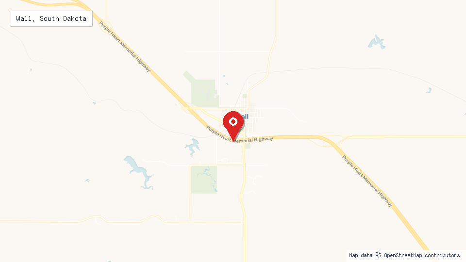 Street map of Wall, South Dakota with location pin