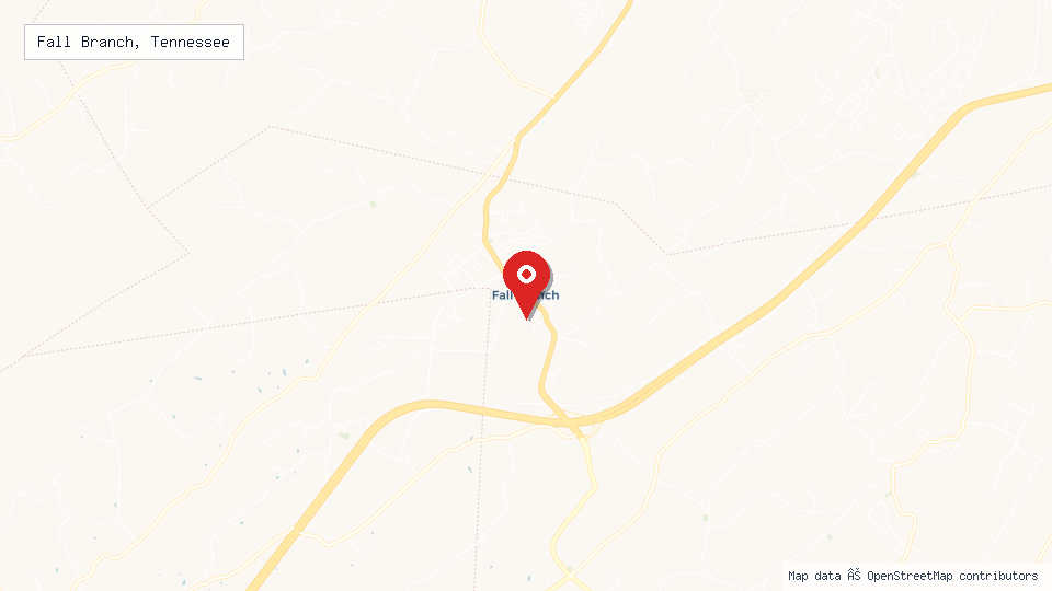 Street map of Fall Branch, Tennessee with location pin