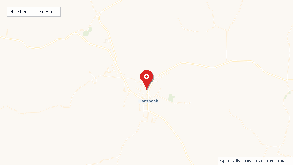 Street map of Hornbeak, Tennessee with location pin