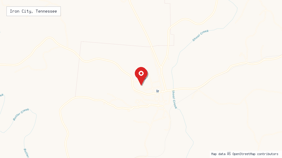 Street map of Iron City, Tennessee with location pin