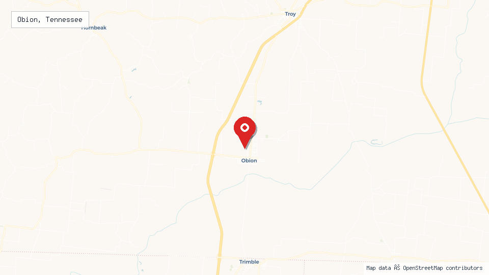 Street map of Obion, Tennessee with location pin