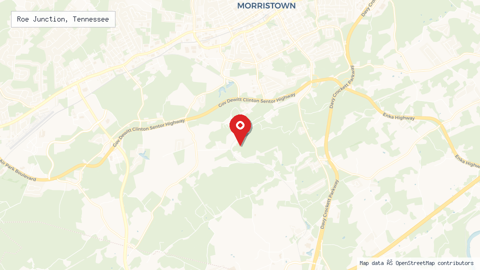 Street map of Roe Junction, Tennessee with location pin