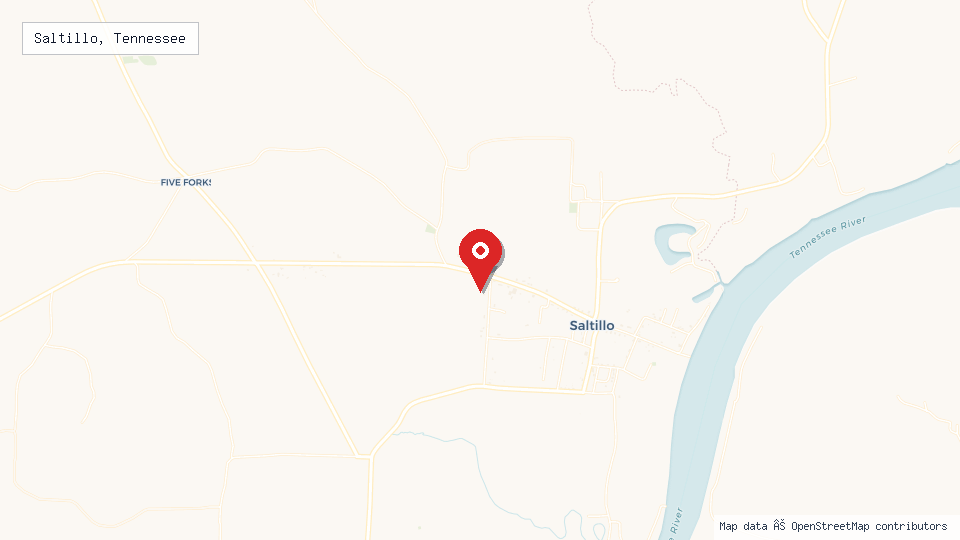 Street map of Saltillo, Tennessee with location pin